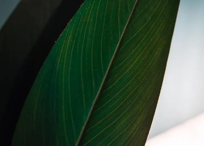 Dein Zuhause In Passau, Modern, Zentral, Parkplatz, Kueche, Terasse דירה פסאו